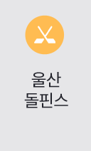 울산돌핀스